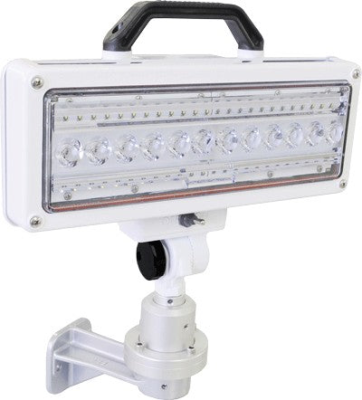 FRC SPECTRA LED Lampheads and Pole mounts SPA100
